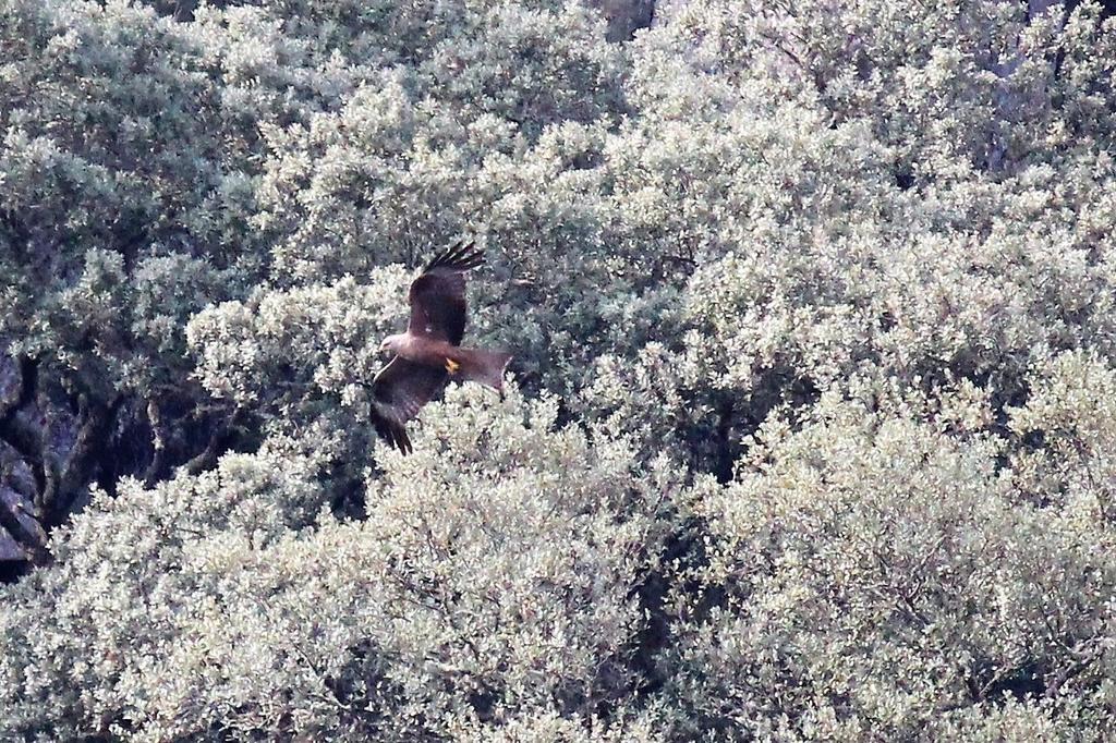 A Casa Da Eira ξενώνας Cerreda Εξωτερικό φωτογραφία